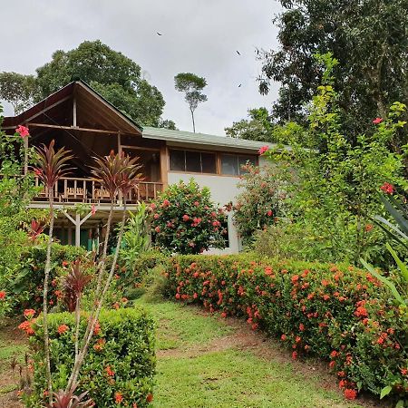 Casa Horizontes Corcovado Bed & Breakfast Drakes Bay Екстериор снимка