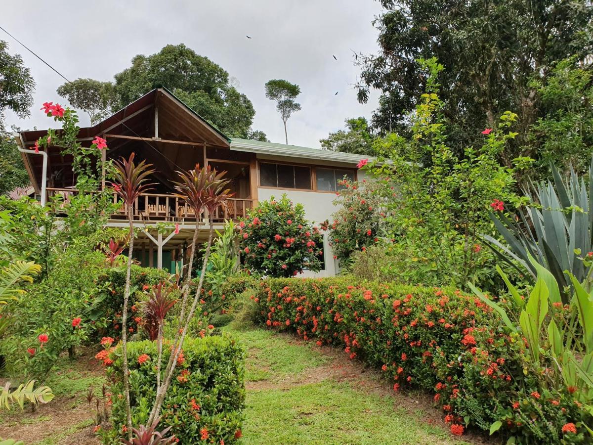 Casa Horizontes Corcovado Bed & Breakfast Drakes Bay Екстериор снимка